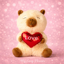 Load image into Gallery viewer, Plush Love Assortment with pillow