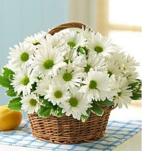 Load image into Gallery viewer, White daises in basket SMALL BASKET