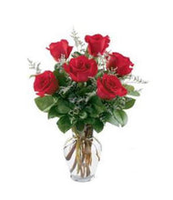 Load image into Gallery viewer, 6 Red Roses