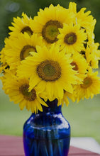 Load image into Gallery viewer, Sunflowers in blue floral vase
