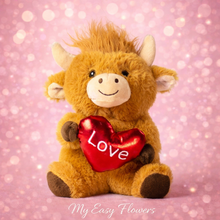 Load image into Gallery viewer, Plush Love Assortment with pillow
