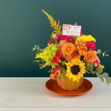 Load image into Gallery viewer, PUMPKIN Designer choice
