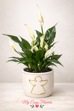 Load image into Gallery viewer, Peace Lily in Angel Ceramic Vase
