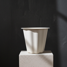 Load image into Gallery viewer, Lavander Exquisite Tribute in pot cover
