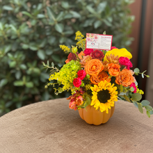 Load image into Gallery viewer, PUMPKIN Designer choice

