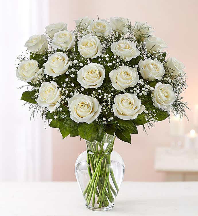 24 WHITE ROSES