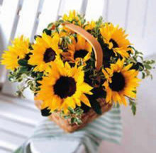 Load image into Gallery viewer, Sunflowers in basket (small)
