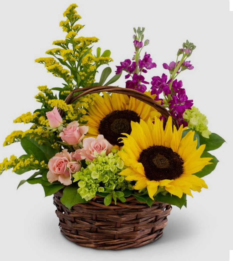 Wild of colors basket BEST SELLER