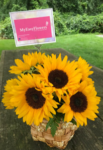 Sunflower in a basket