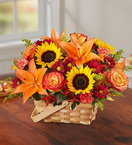 FIELDS FALL BASKET