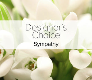 Designer's choice all White