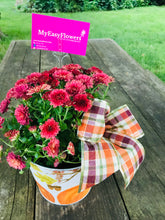 Load image into Gallery viewer, MUM PLANT IN FALL POT
